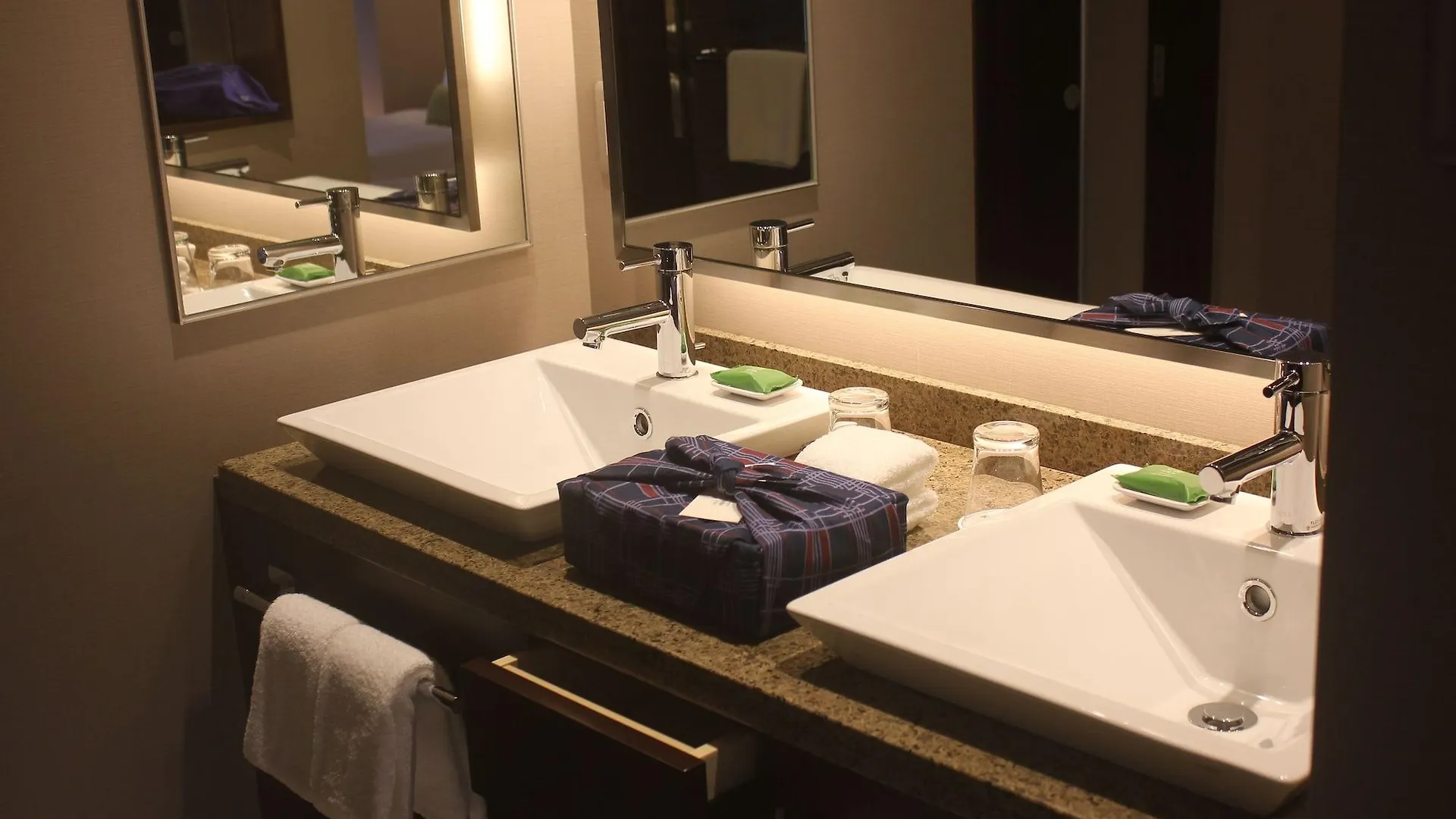 ****  Hotel Ryumeikan Ochanomizu Honten Tokyo Japan